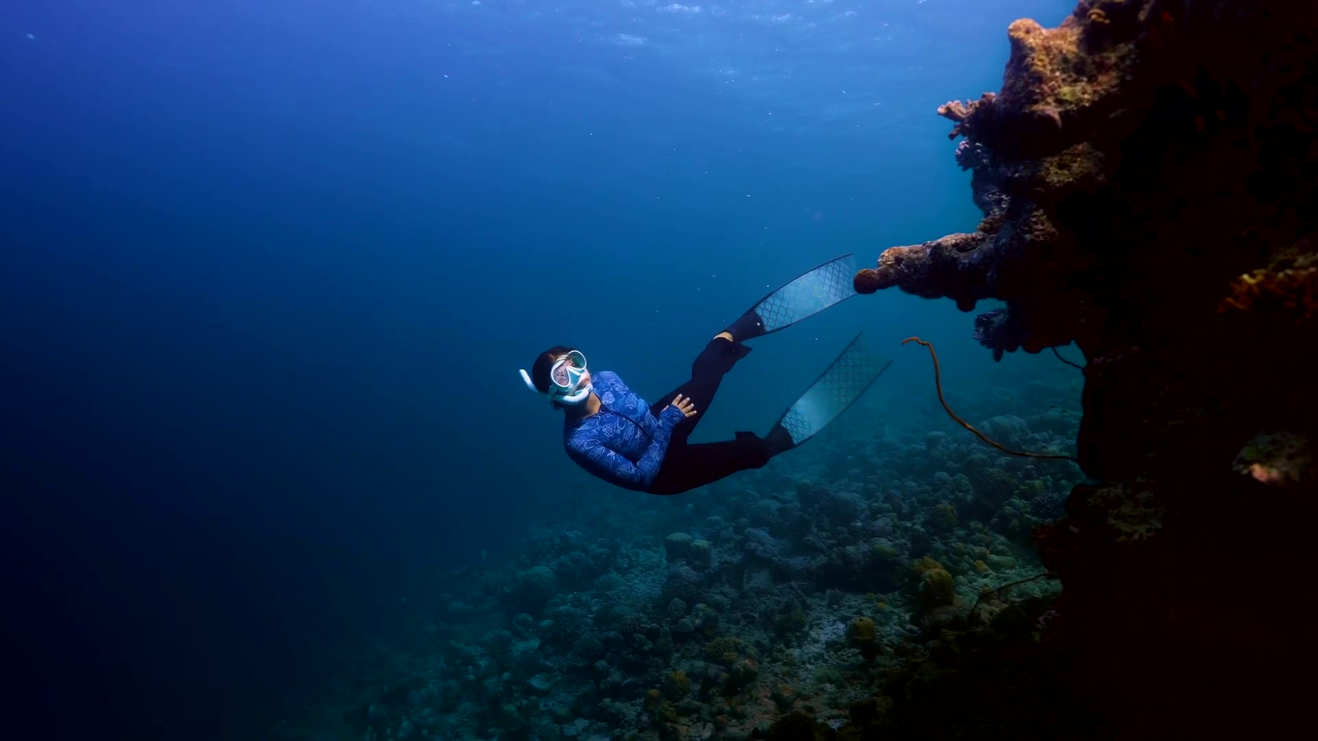 Freediver exploring a coral reef wall