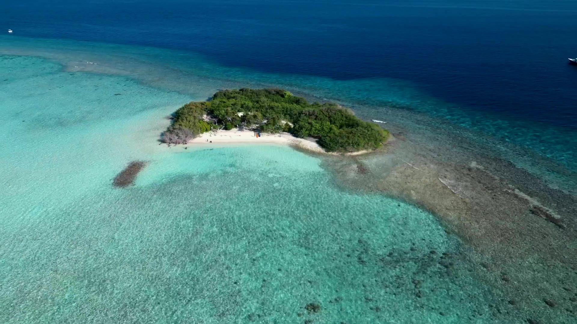 Aerial view of a Maldives island surrounded by reef and turquoise shallows